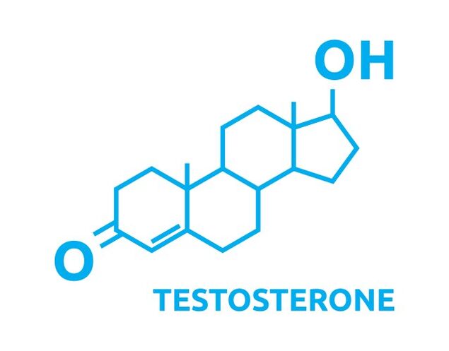 Testosterona handitzea Eroboost erabili ondoren