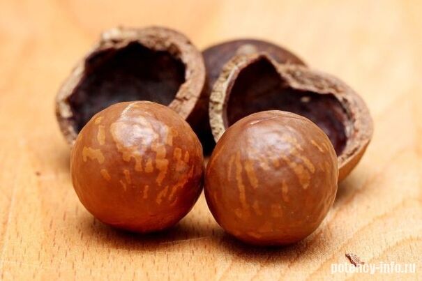 Potentziarako Macadamia
