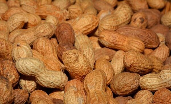 Potentziarako arachis